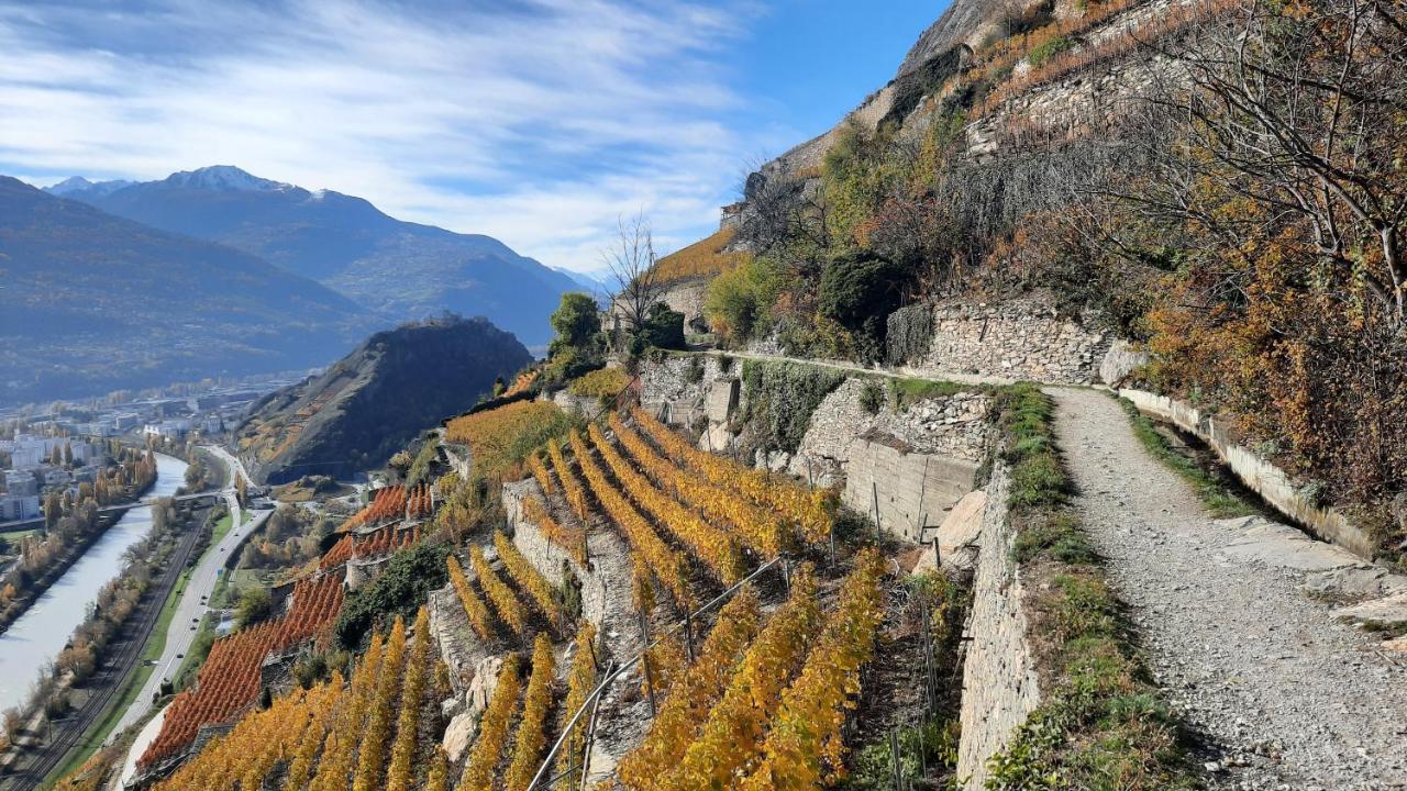 Petit Pré Maison d'hôtes *