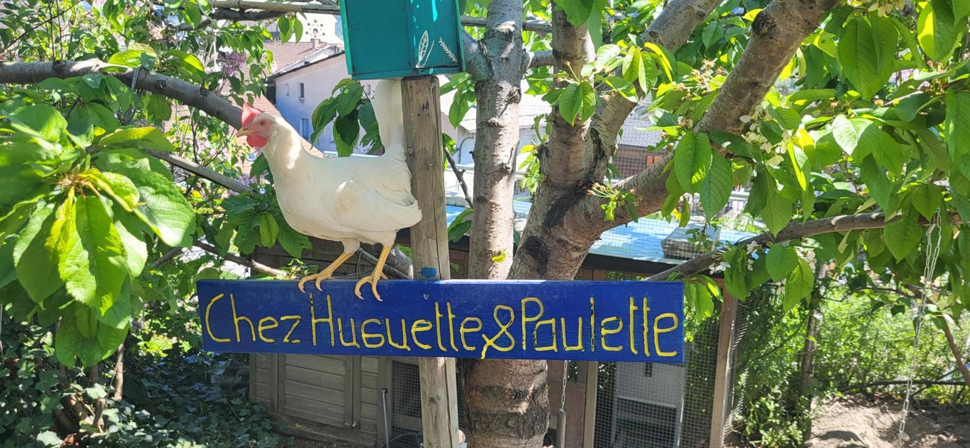 Petit Pré